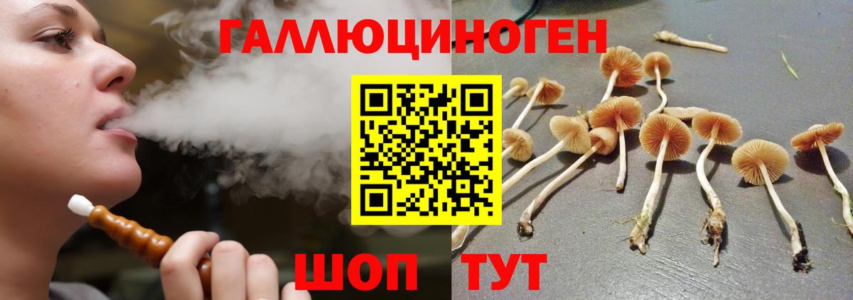 Галлюциногенные грибы прущие грибы Пугачёв
